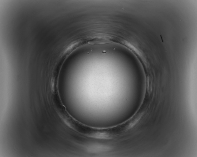 X0000086100157200703301222