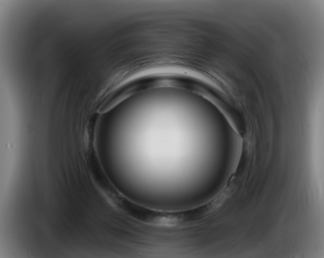 X0000086100158200703301222