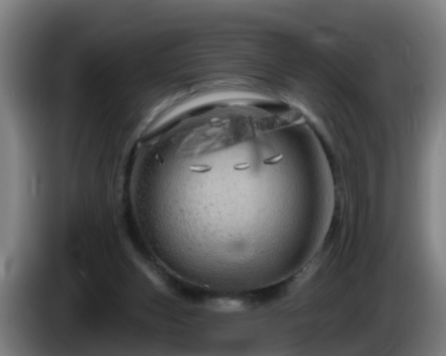 X0000086100159200703301222