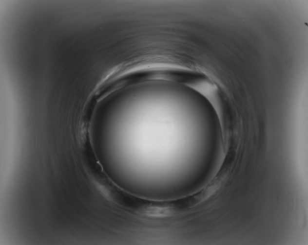X0000086100160200703301222