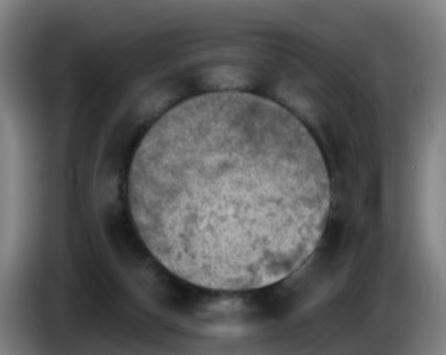 X0000086100162200703301222