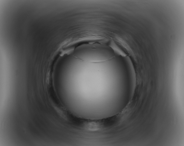 X0000086100163200703301222