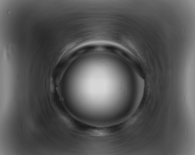 X0000086100164200703301222