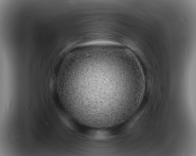 X0000086100165200703301223