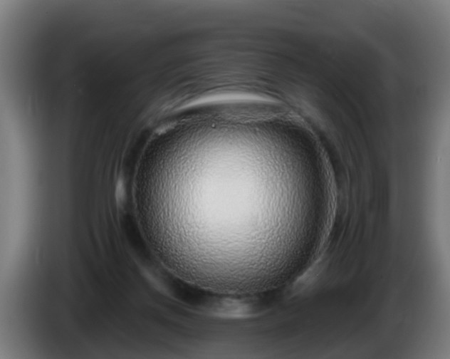 X0000086100166200703301223