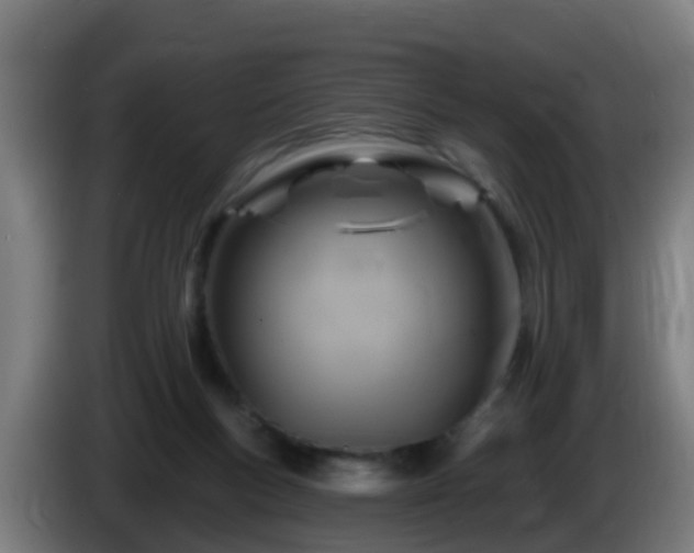 X0000086100167200703301223