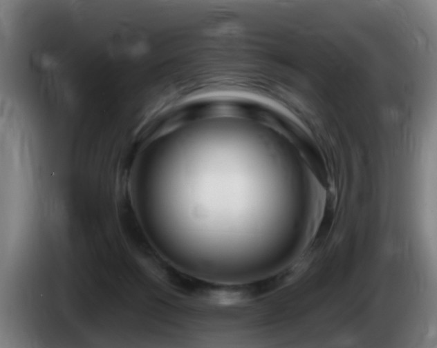 X0000086100168200703301223