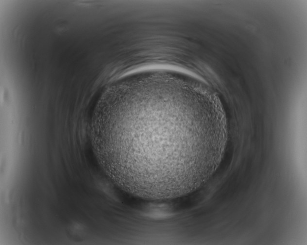 X0000086100169200703301223