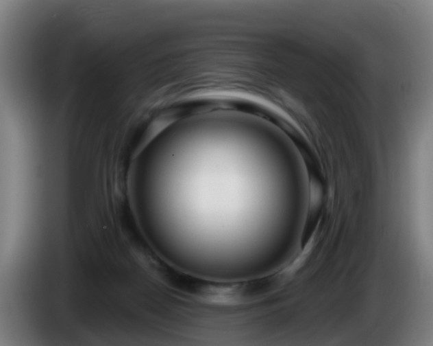 X0000086100170200703301223