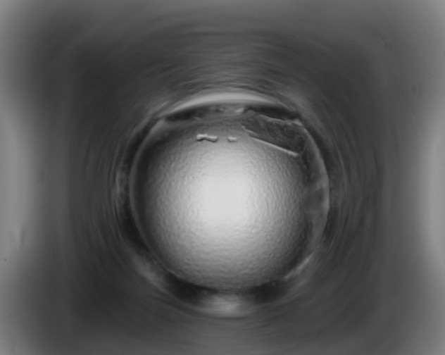 X0000086100171200703301223