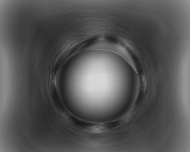 X0000086100172200703301223