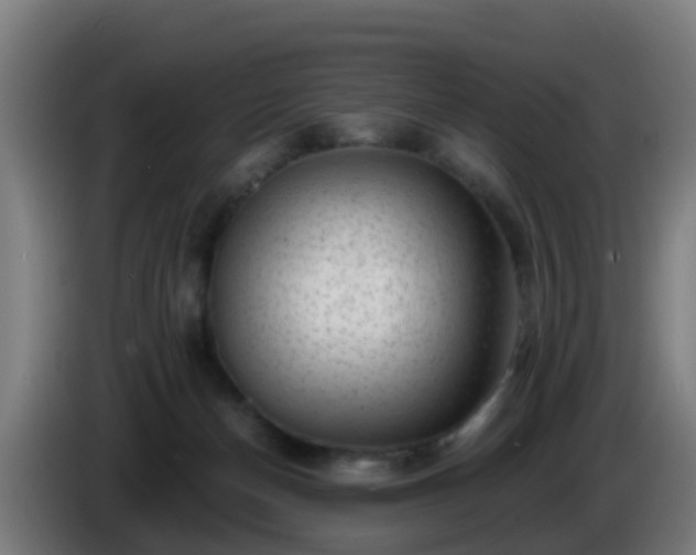 X0000086100174200703301223