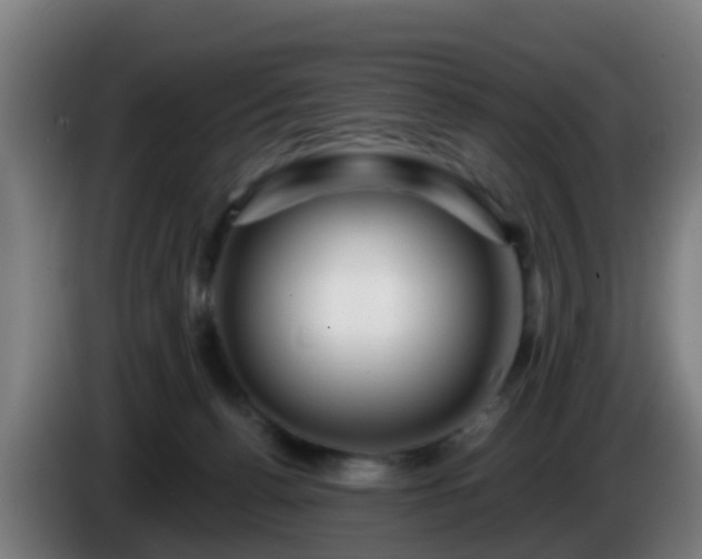 X0000086100176200703301223
