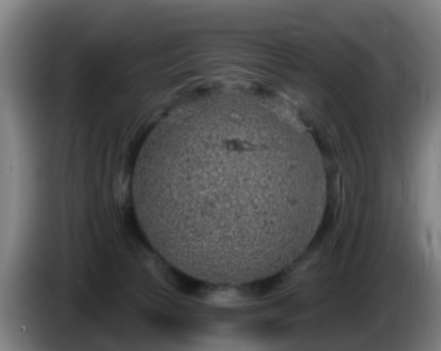 X0000086100177200703301223