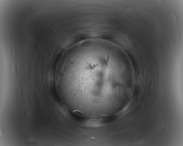 X0000086100179200703301223