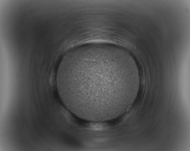X0000086100181200703301223
