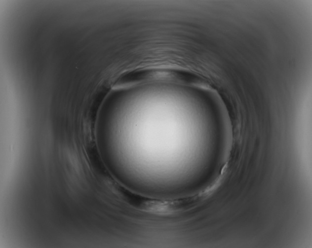 X0000086100182200703301223