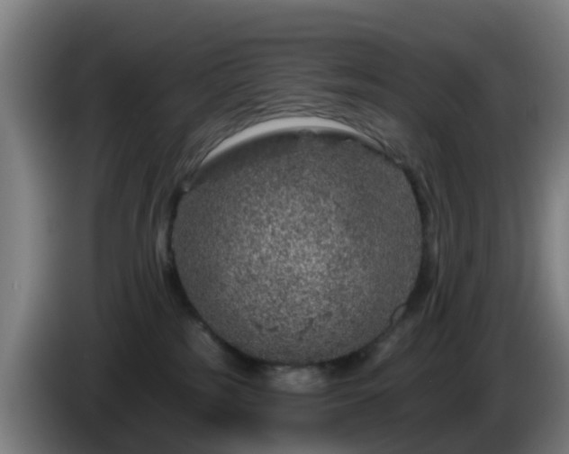 X0000086100185200703301223