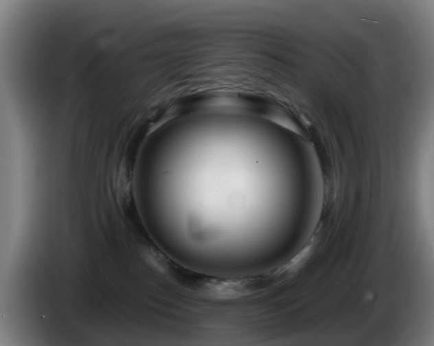 X0000086100186200703301223