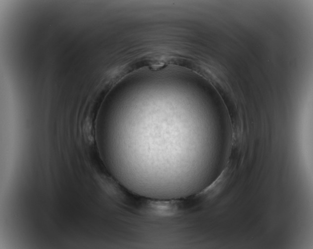 X0000086100187200703301223