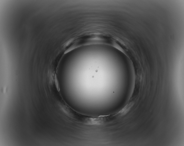X0000086100188200703301223