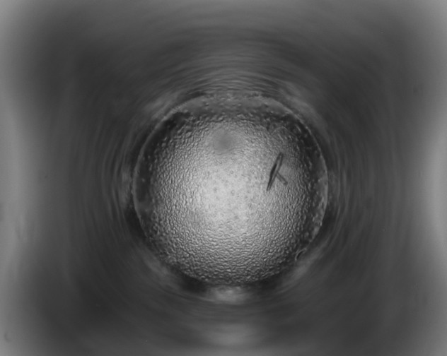 X0000086100189200703301223