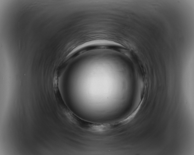X0000086100190200703301223