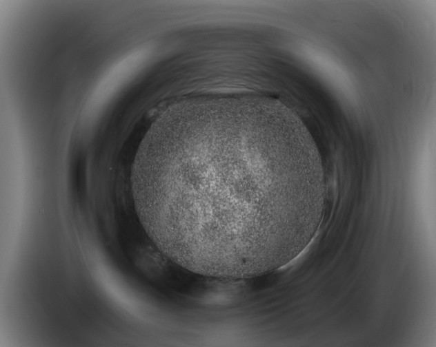 X0000086100191200703301223