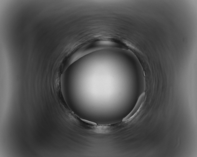 X0000086100192200703301223