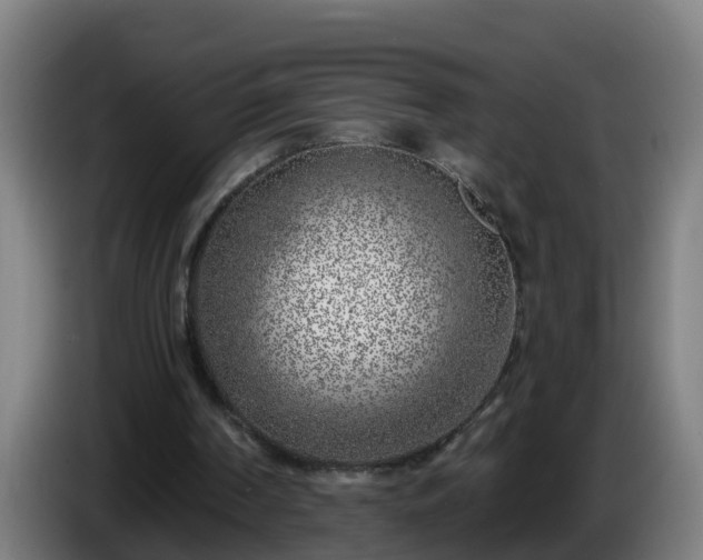 X0000086100194200703301222