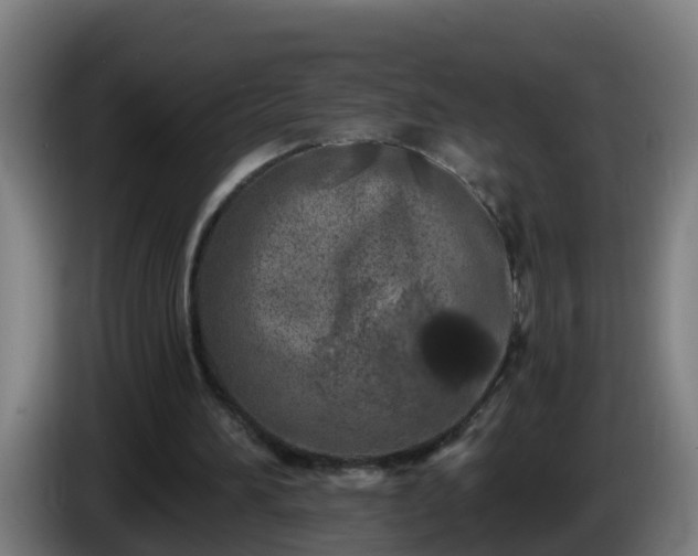 X0000086100196200703301222
