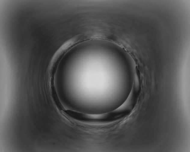 X0000086100197200703301222