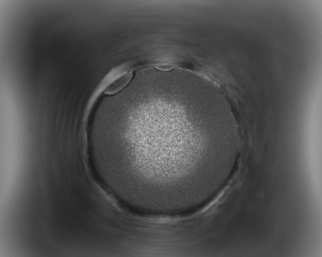 X0000086100198200703301222