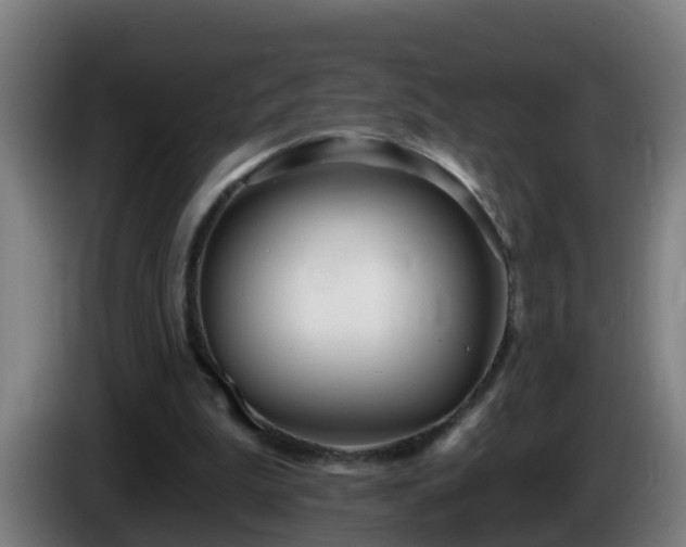 X0000086100199200703301222