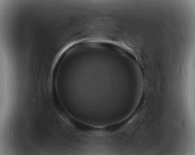X0000086100200200703301222
