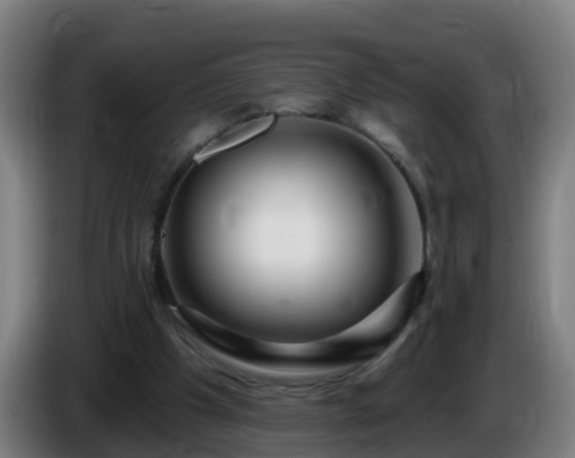 X0000086100201200703301222