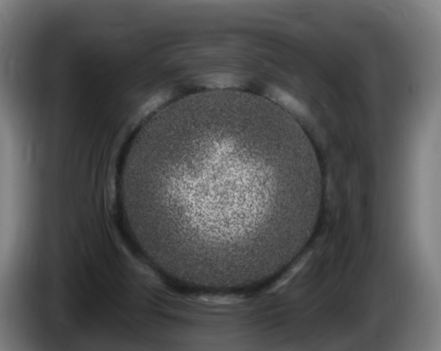 X0000086100202200703301222