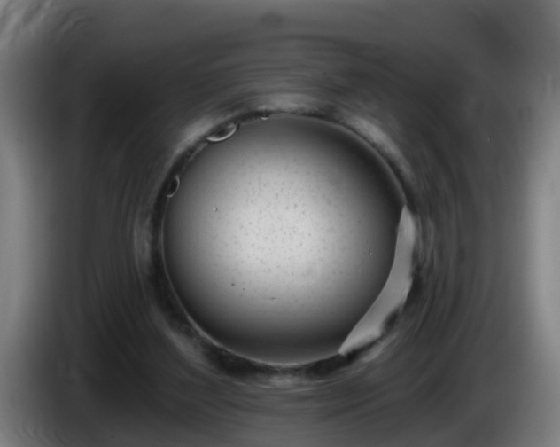 X0000086100204200703301222