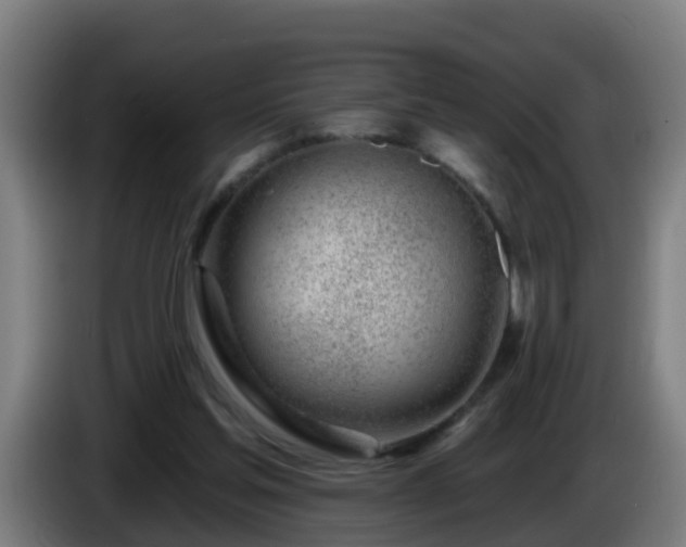X0000086100205200703301222