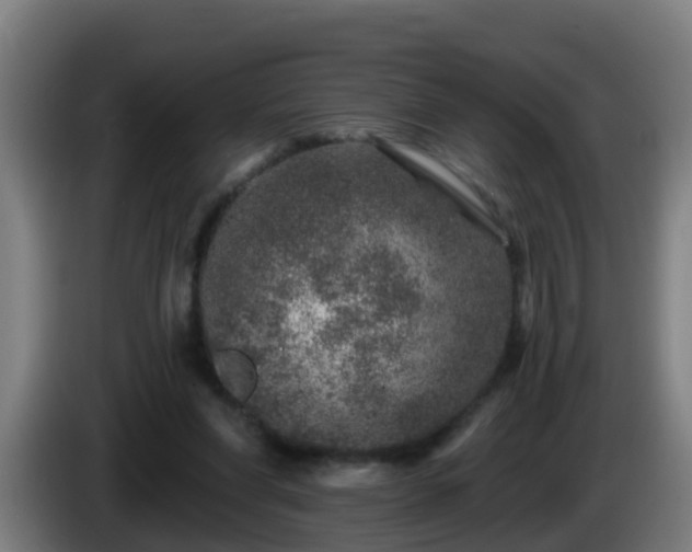 X0000086100206200703301222