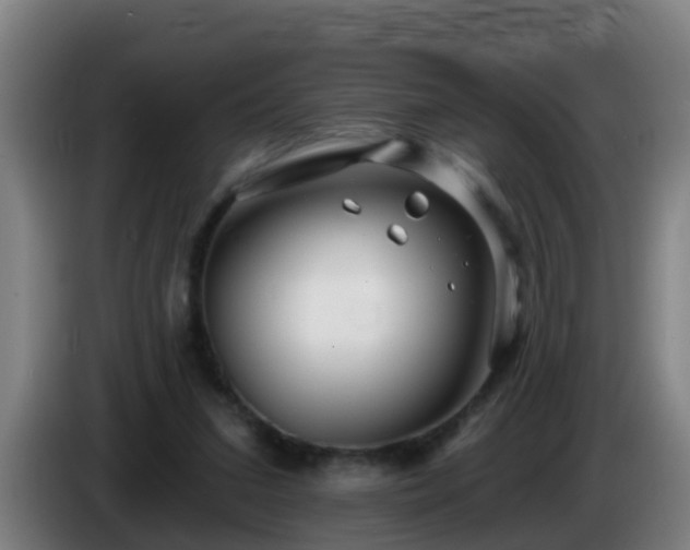 X0000086100207200703301222