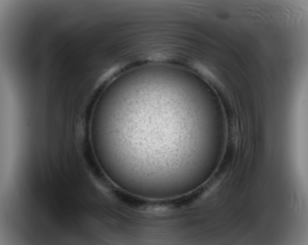 X0000086100208200703301222