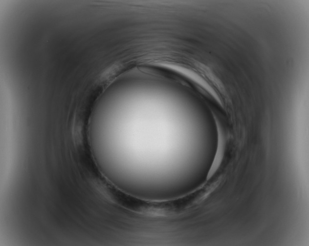 X0000086100209200703301222