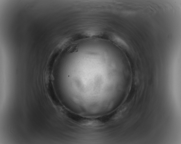 X0000086100210200703301222
