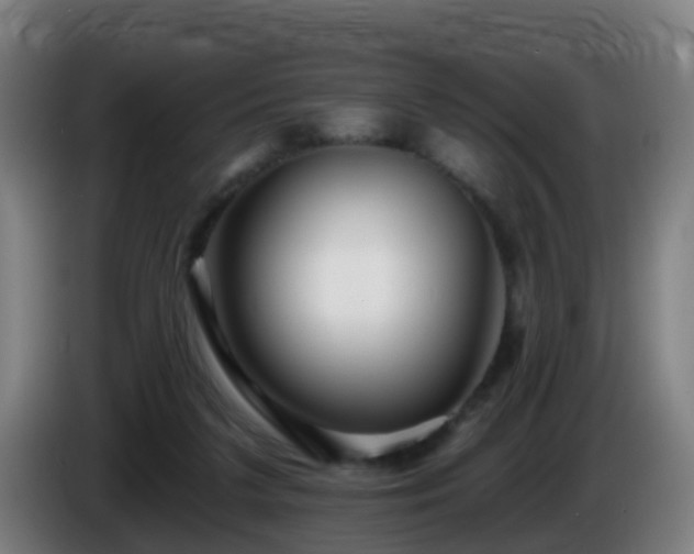 X0000086100211200703301222