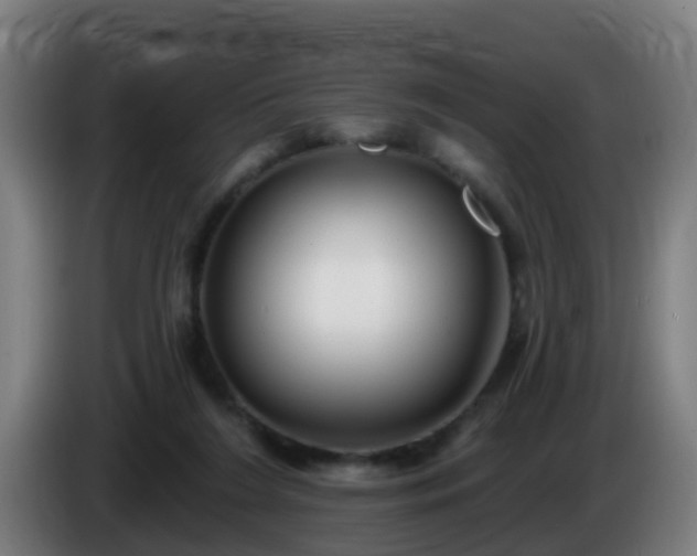 X0000086100212200703301222
