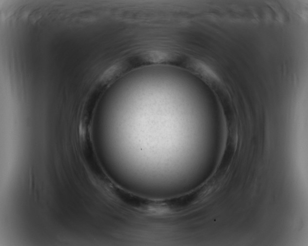 X0000086100214200703301222
