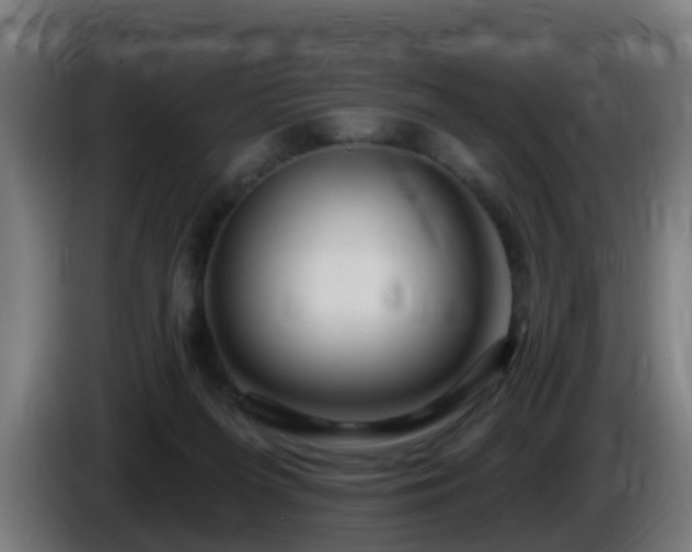 X0000086100215200703301222