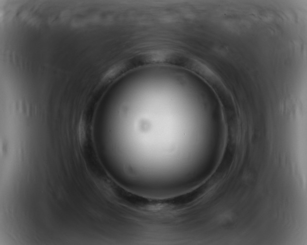X0000086100216200703301222