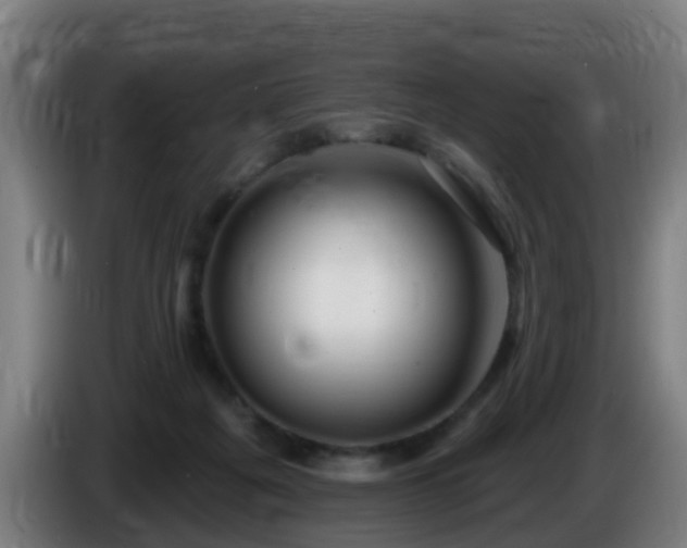 X0000086100217200703301222